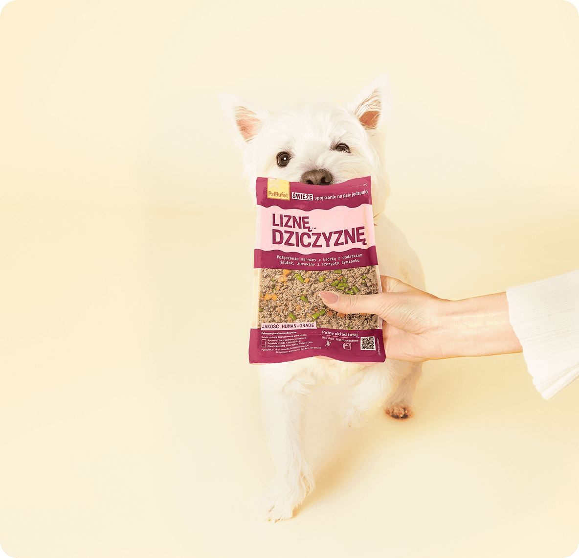 Dog sniffing PsiBufet pouch