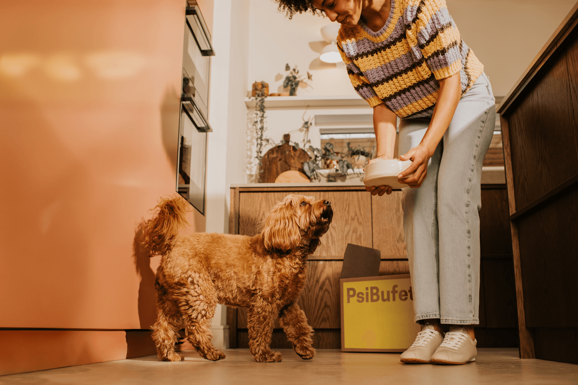 Cavapoo standing next to the PsiBufet box and the person with a bowl of a dog food