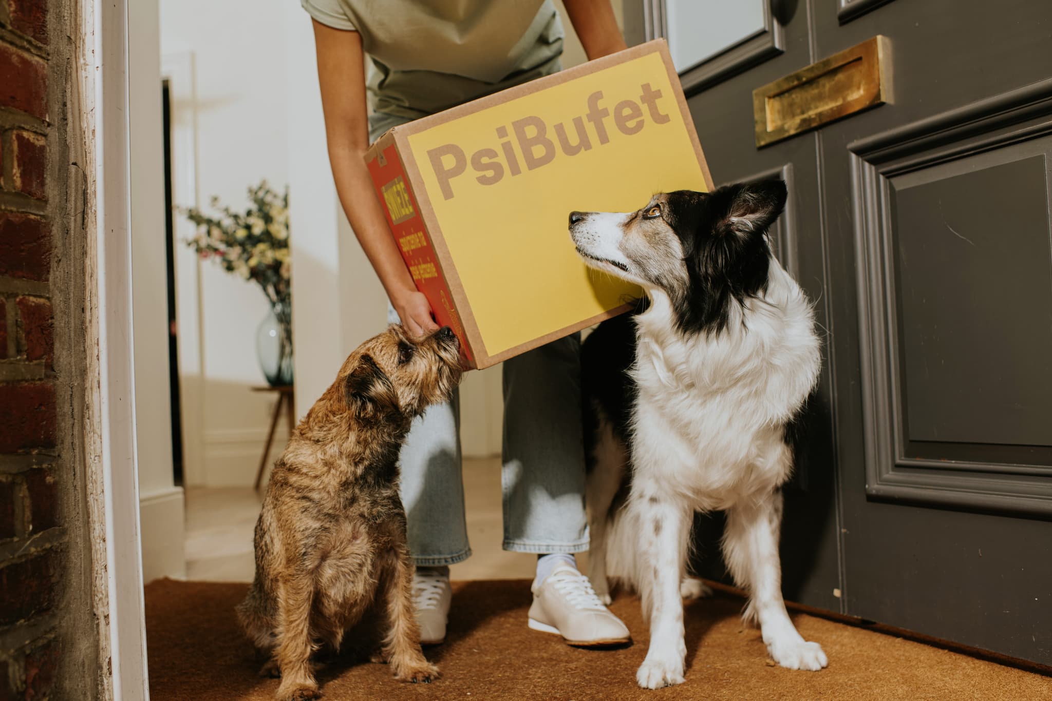 Osoba stojąca w drzwiach z paczką PsiBufet, obwąchiwaną przez dwa zaciekawione psy.