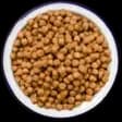 bowl of dry food