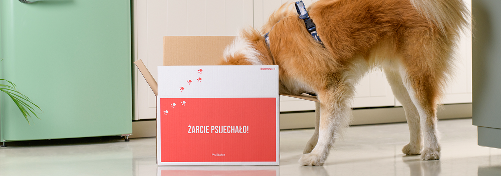 co można zrobić z kartonu - zabawy węchowe